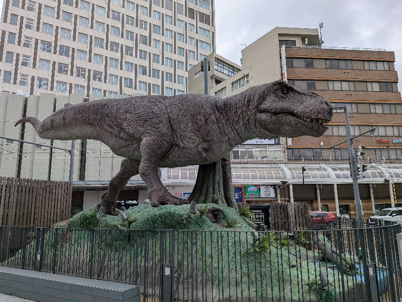 ビギナーたつおさんの天然温泉 越前の湯 御宿 野乃福井のサ活写真