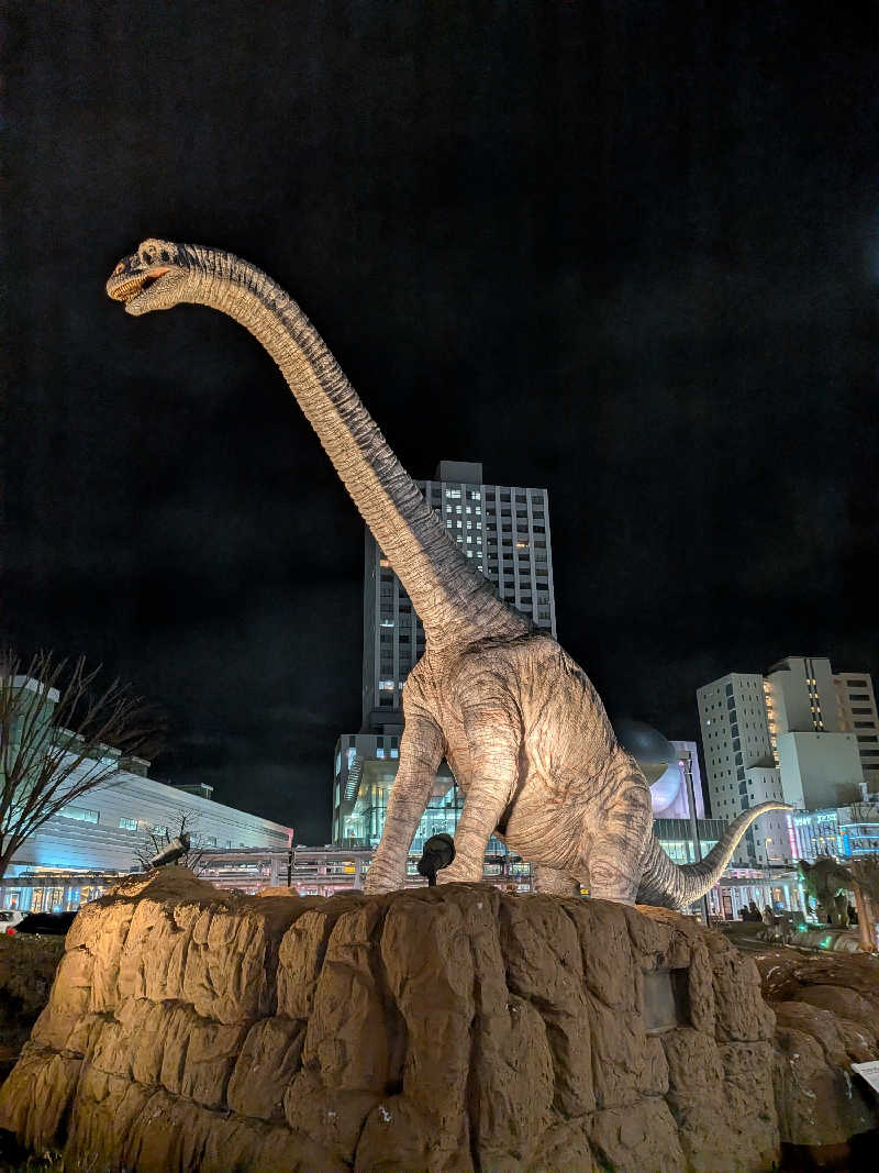 ビギナーたつおさんの天然温泉 越前の湯 御宿 野乃福井のサ活写真