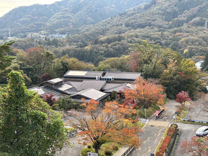 たつくり🧖さんのさがみ湖温泉 うるりのサ活写真