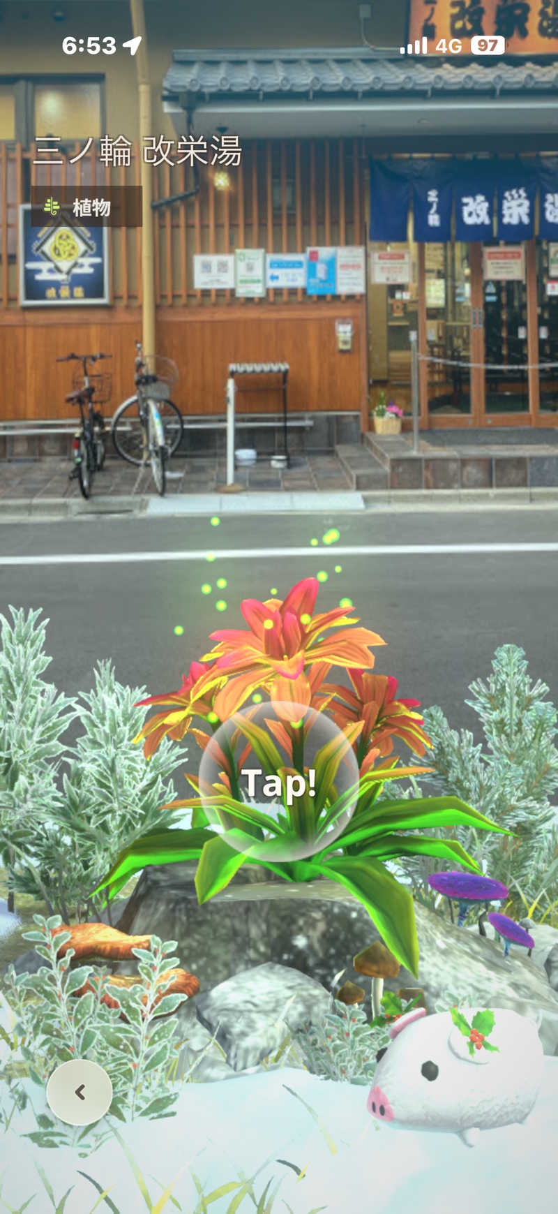 tomotripさんの三ノ輪 改栄湯のサ活写真