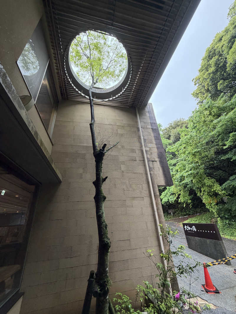 tomotripさんの成田の命泉 大和の湯のサ活写真