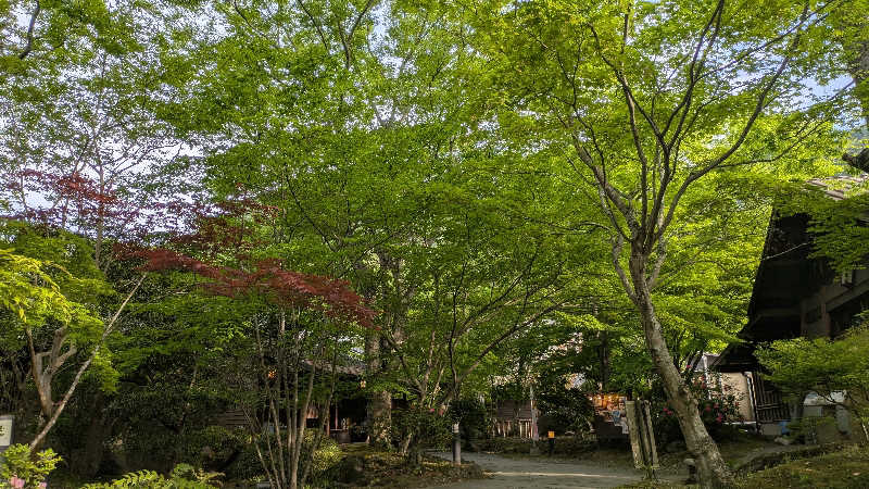 しおこんぶさんの八面山金色温泉のサ活写真