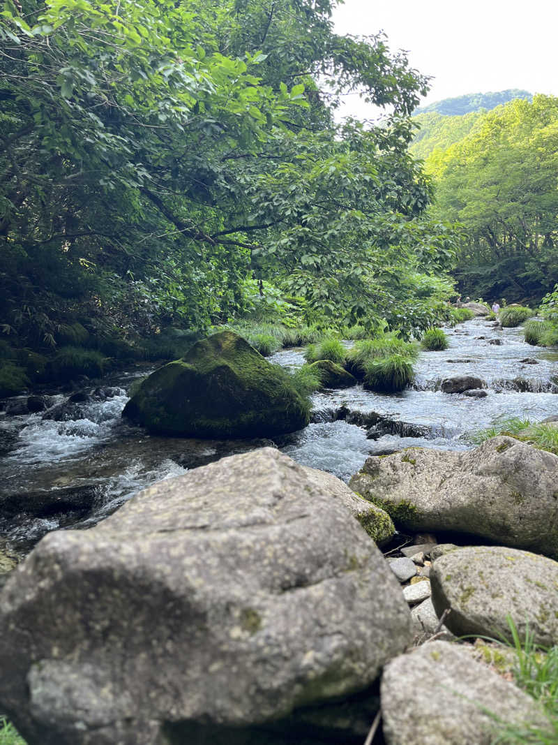 ととのうしさんのるぽぽの森(るぽぽかわさき・笹谷オートキャンプ場)のサ活写真