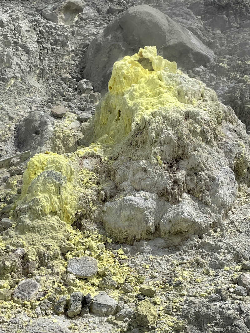 きなこにゃんさんの玉川温泉のサ活写真