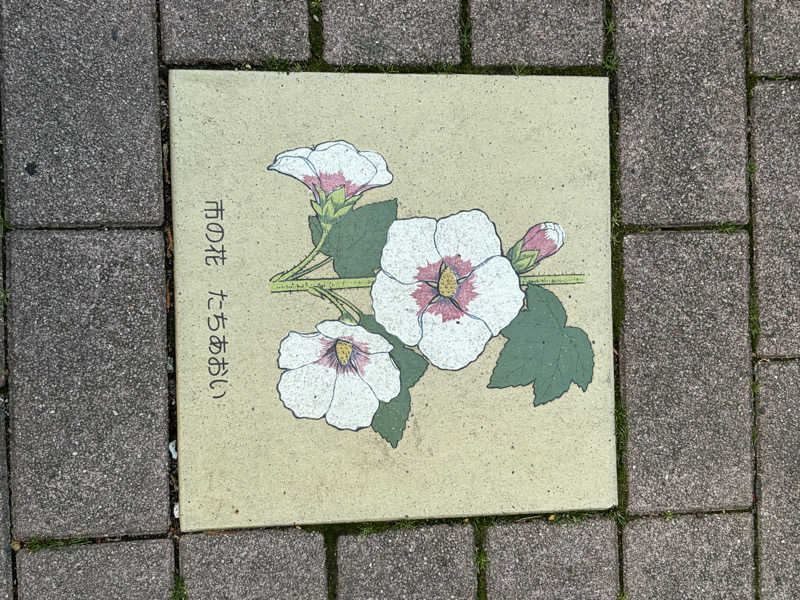 へなちょこサウナーさんのサウナしきじのサ活写真