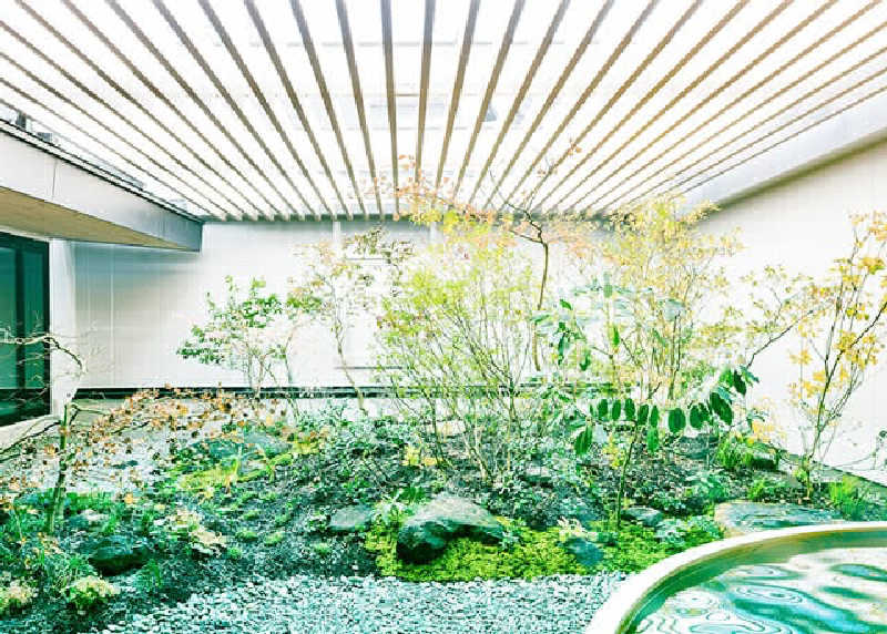 デュークてつさんのレフ熊本 by ベッセルホテルズのサ活写真