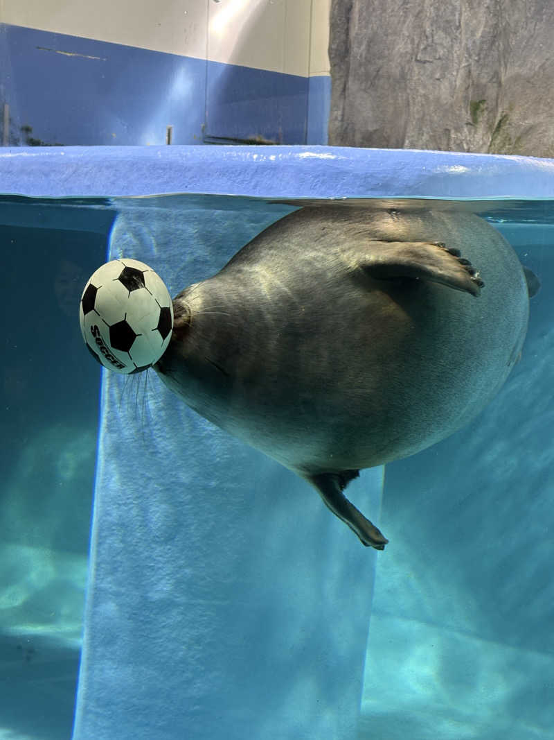 かなさんの錦水湯のサ活写真