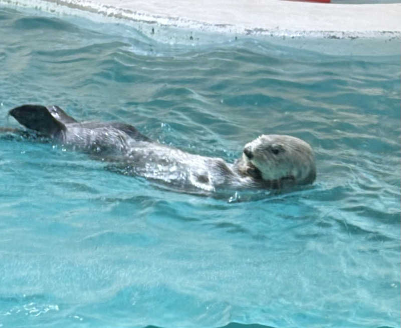 かなさんの錦水湯のサ活写真