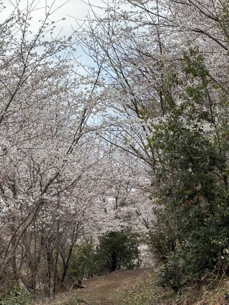 かなさんのくらま温泉のサ活写真