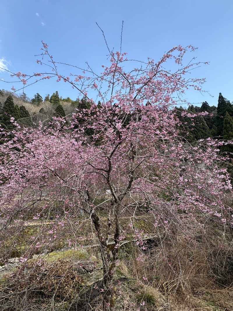 かなさんのくらま温泉のサ活写真