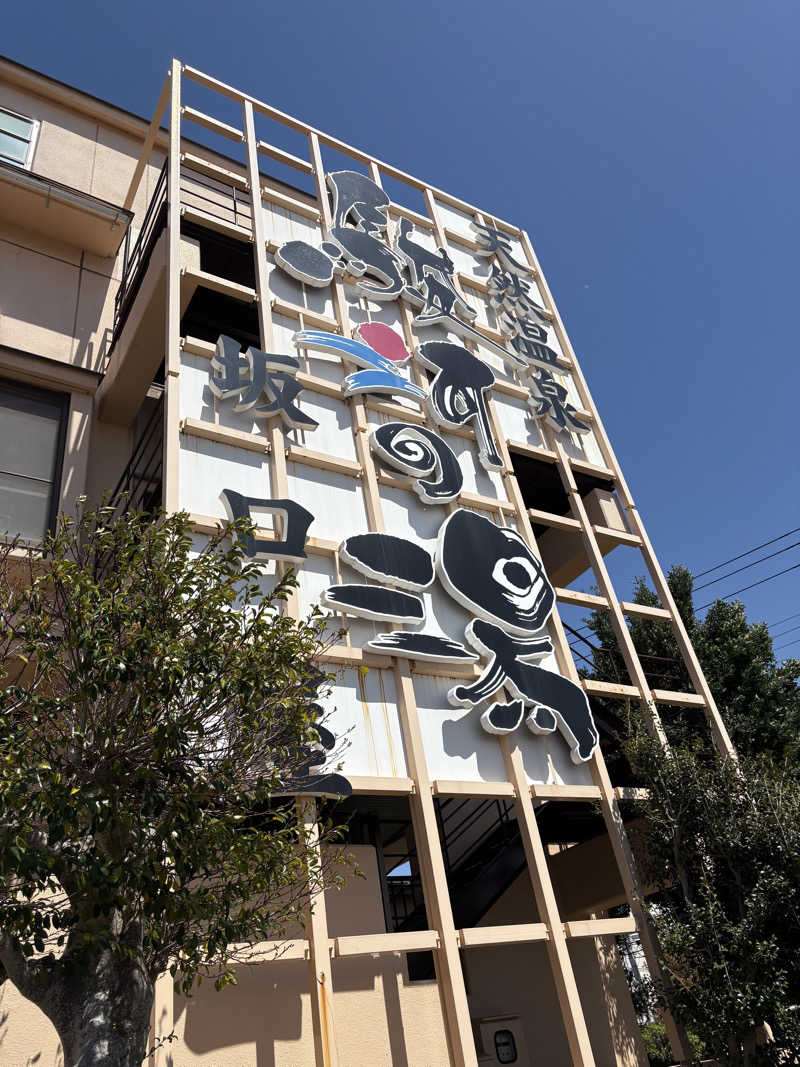 かなさんの駿河の湯 坂口屋のサ活写真