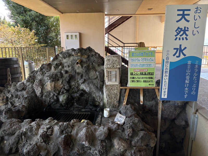 かなさんの駿河の湯 坂口屋のサ活写真