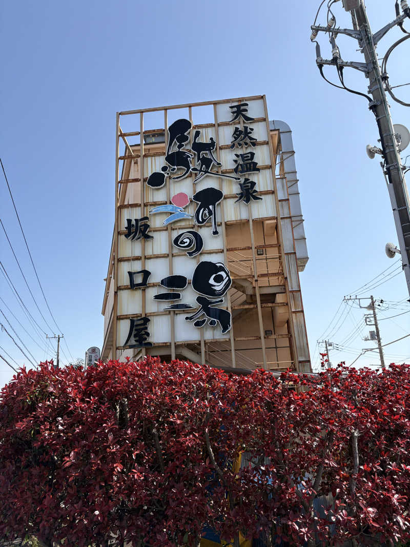かなさんの駿河の湯 坂口屋のサ活写真