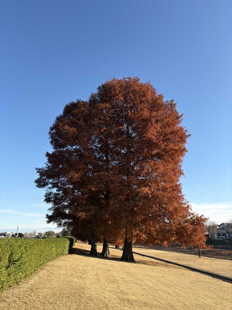 かなさんの毎日サウナ 越谷店のサ活写真