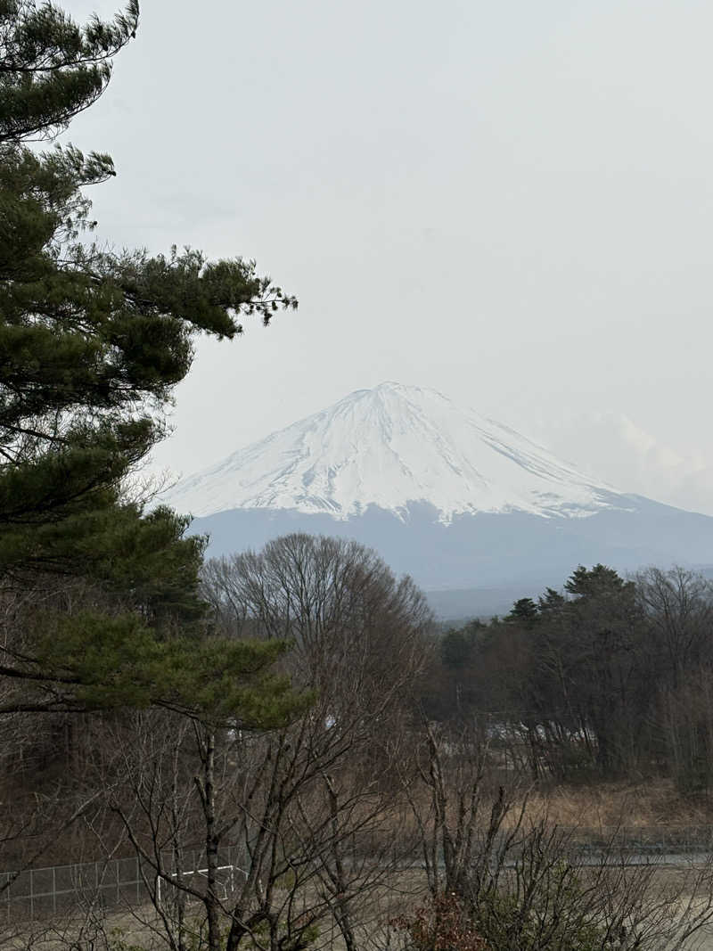 かなさんの富士眺望の湯 ゆらりのサ活写真