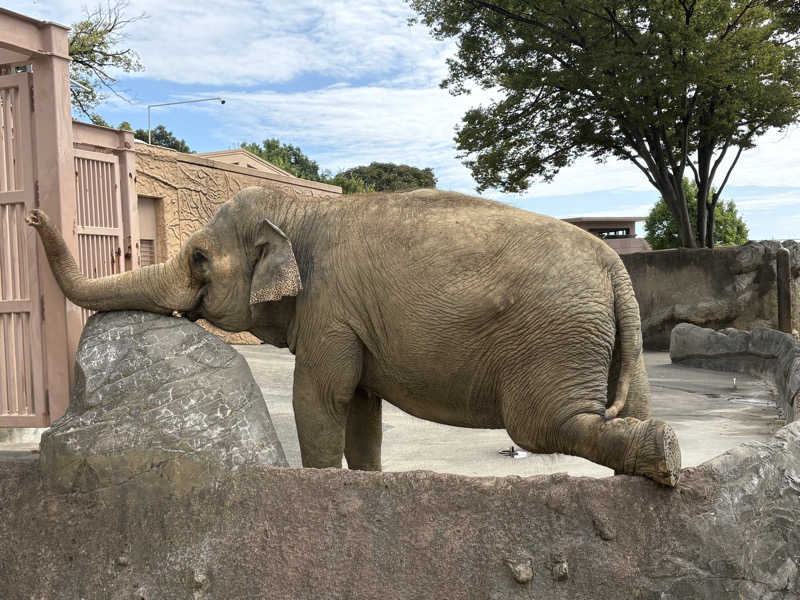 りなぞう２さんの日立市ホリゾンかみねのサ活写真