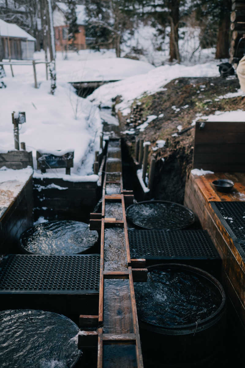 サウナッシーさんのThe Saunaのサ活写真