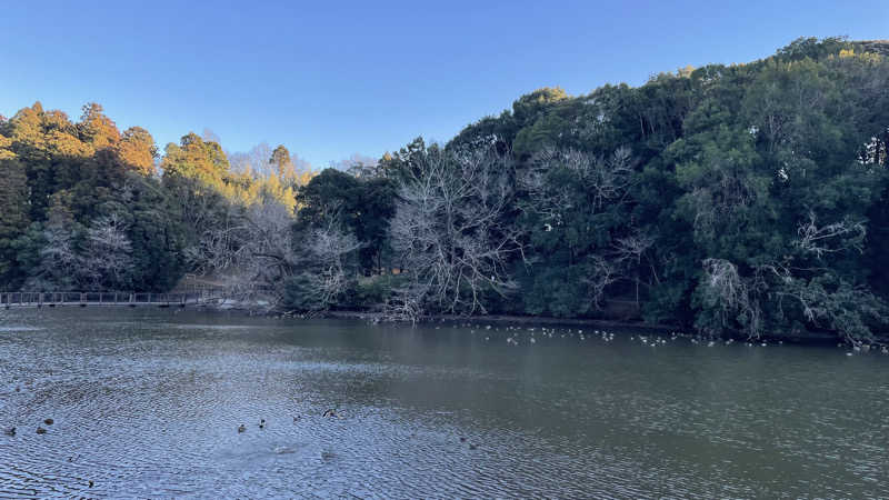 UCHILLさんの成田の命泉 大和の湯のサ活写真