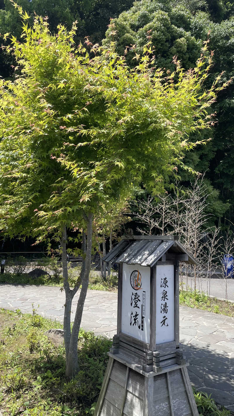 UCHILLさんの佐倉天然温泉 澄流(すみれ)のサ活写真