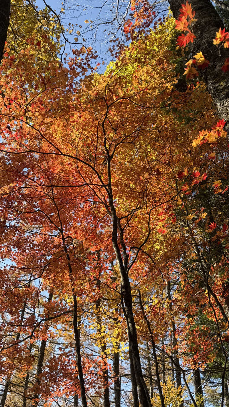 UCHILLさんの尾白の湯のサ活写真