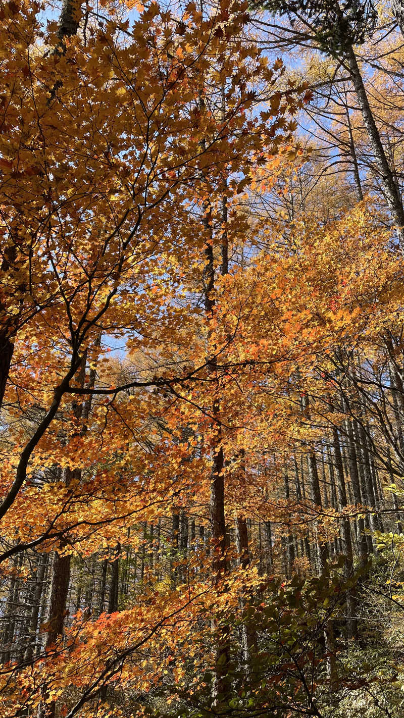 UCHILLさんの尾白の湯のサ活写真