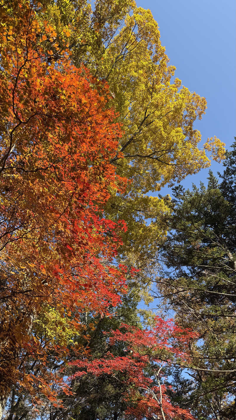 UCHILLさんの尾白の湯のサ活写真