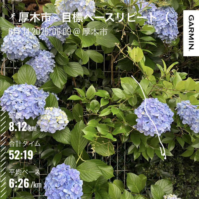 草冠に旬さんの厚木市ふれあいプラザのサ活写真