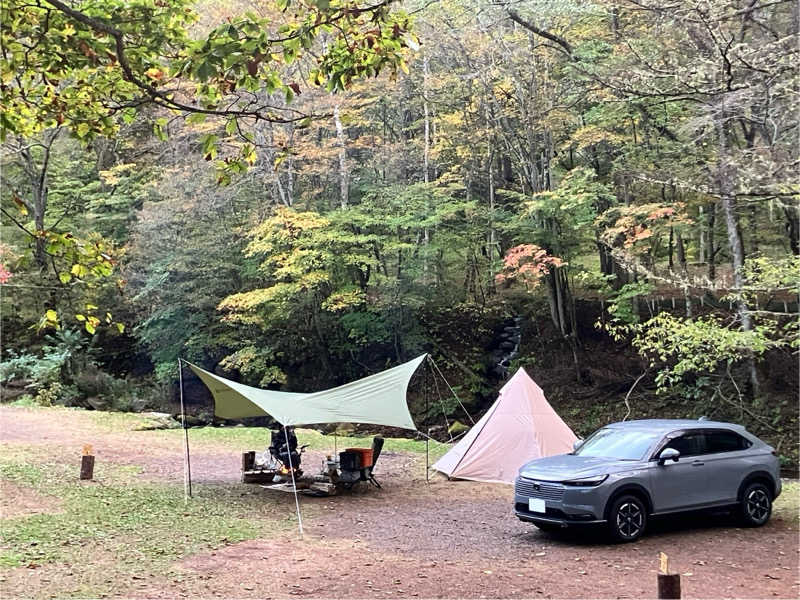 信州のフィドラーさんの南相木温泉 滝見の湯のサ活写真