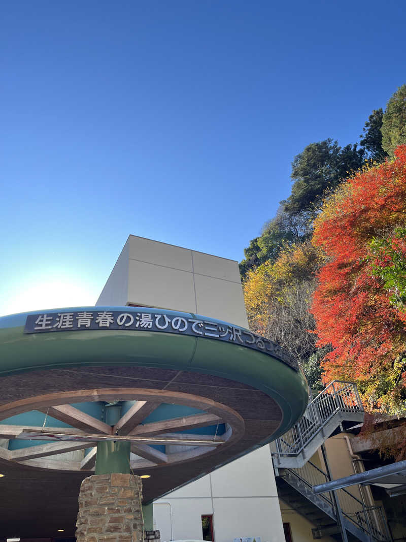 Toshi.Dさんの生涯青春の湯 つるつる温泉のサ活写真