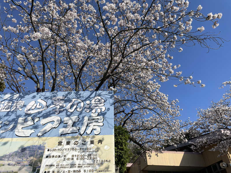 あさやんさんの湯ノ浦温泉四季の湯ビア工房のサ活写真