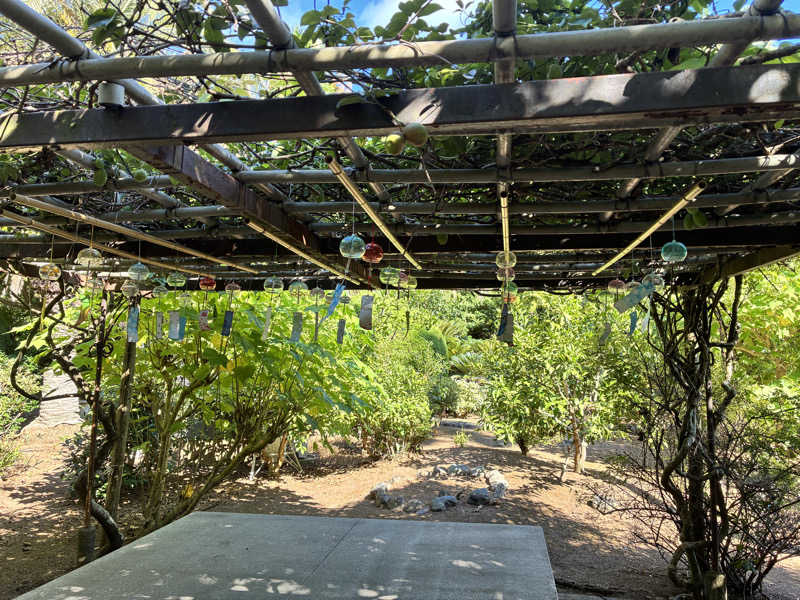 台東喰種さんの蓮台寺温泉 清流荘のサ活写真