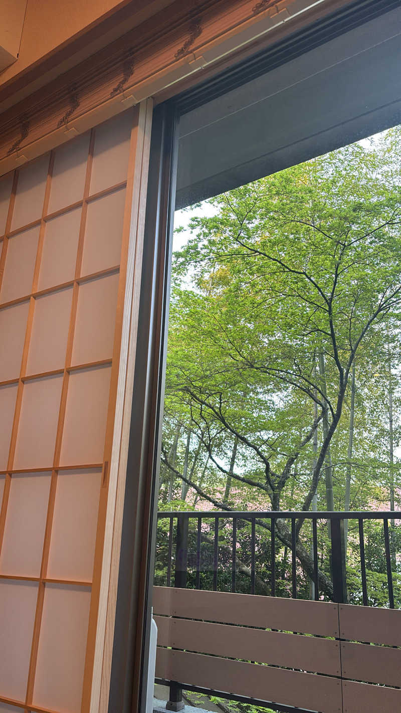 mm.さんの箱根小涌谷温泉 水の音のサ活写真