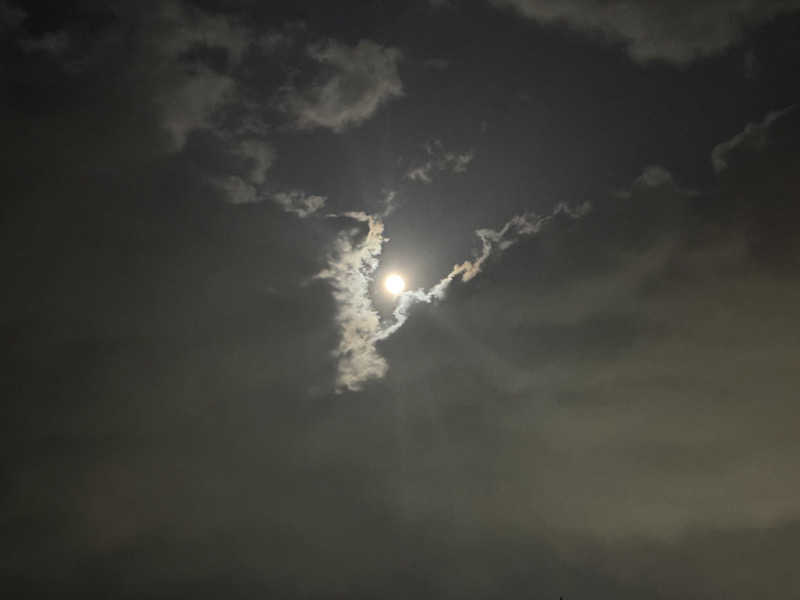 YusukeさんのLita-saunaのサ活写真