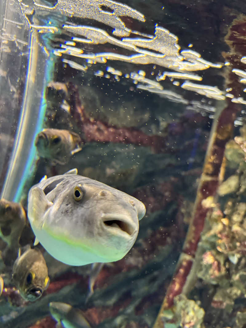 Yusukeさんの極楽湯 名取店のサ活写真