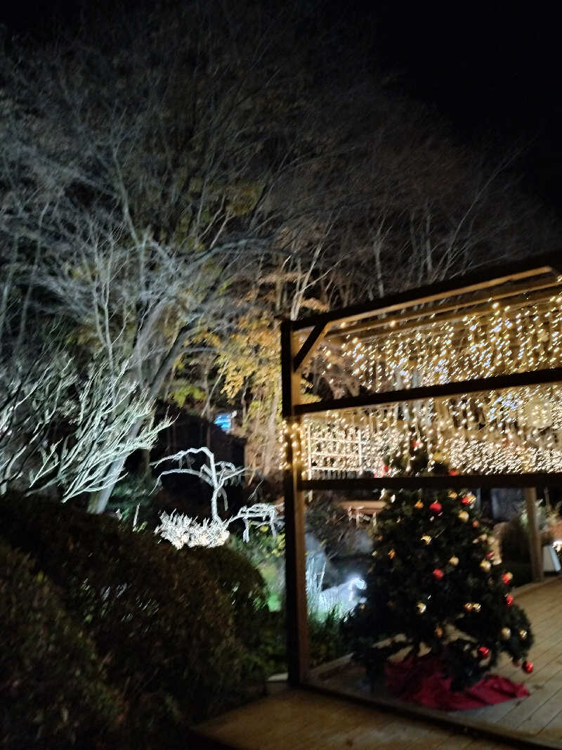 おにぃさんの天然温泉 三峰のサ活写真