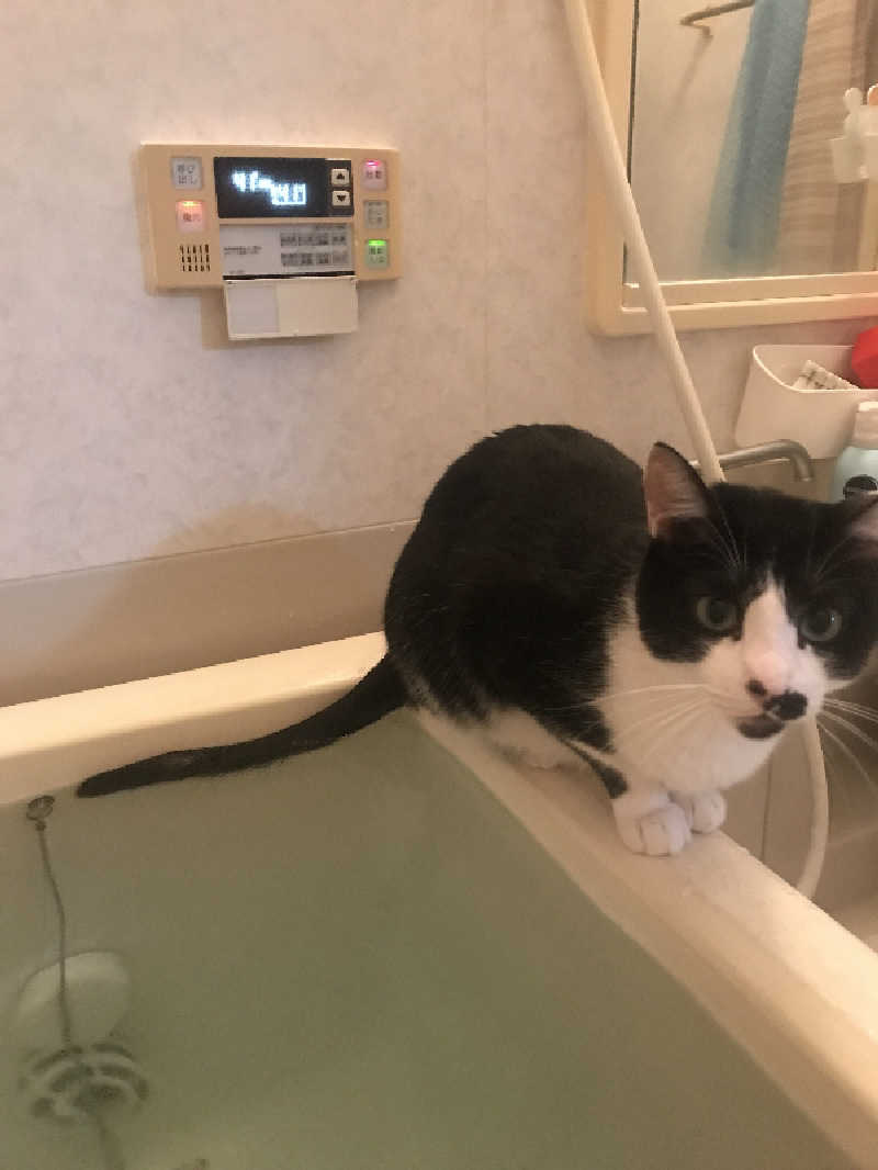猫boyまたはブラックティーちゃん（仮名さんのサウナヘヴン草加のサ活写真