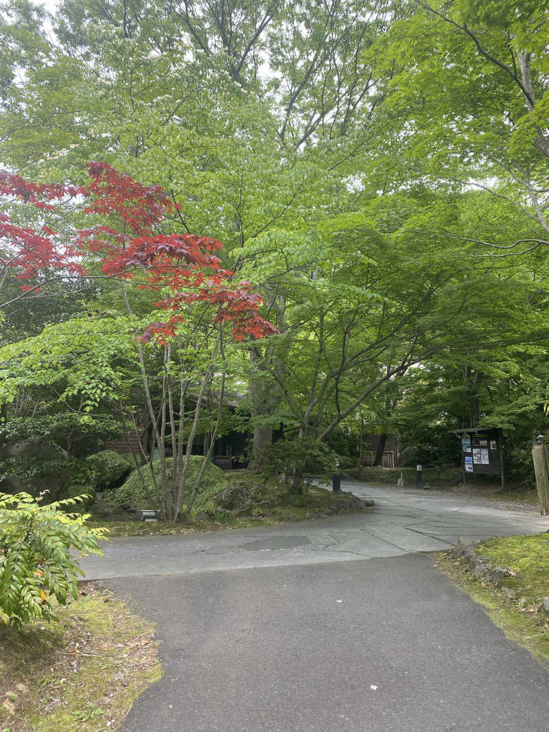 hawks511さんの八面山金色温泉のサ活写真