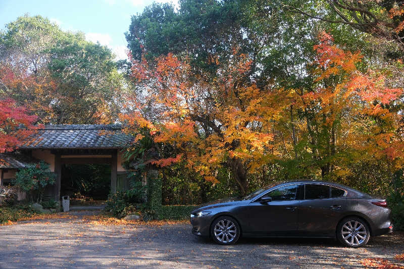 ドロ沼さんの天然温泉ぬくもりの湯のサ活写真