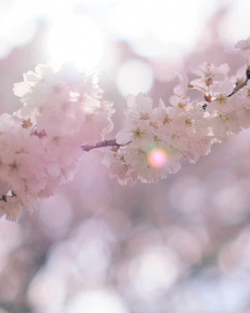 ドロ沼さんの菊陽温泉・さんさんの湯(菊陽町総合交流ターミナルさんふれあ)のサ活写真
