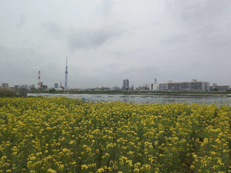 石男さんの東京天然温泉 古代の湯のサ活写真