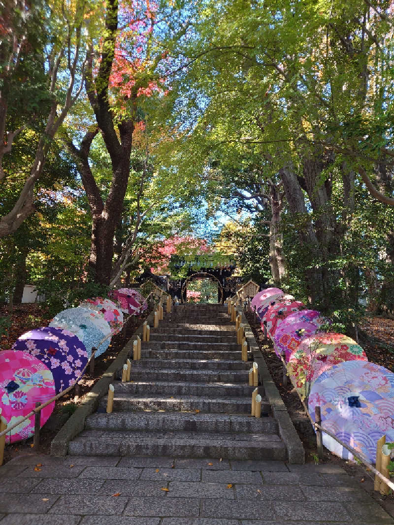 湯うこさんのよみうりランド眺望温泉 花景の湯のサ活写真