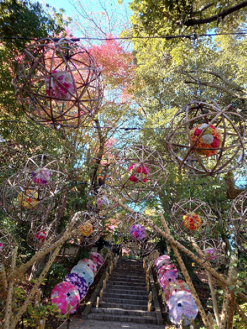 湯うこさんのよみうりランド眺望温泉 花景の湯のサ活写真