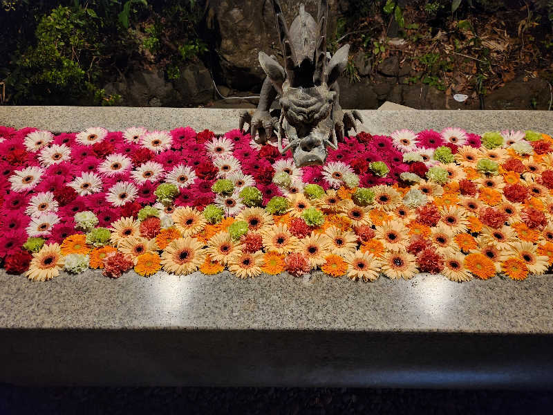 MAKOさんのよみうりランド眺望温泉 花景の湯のサ活写真