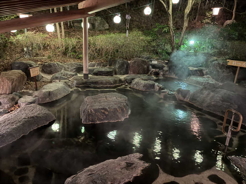 ダイジュさんの雨情の宿新つたのサ活写真