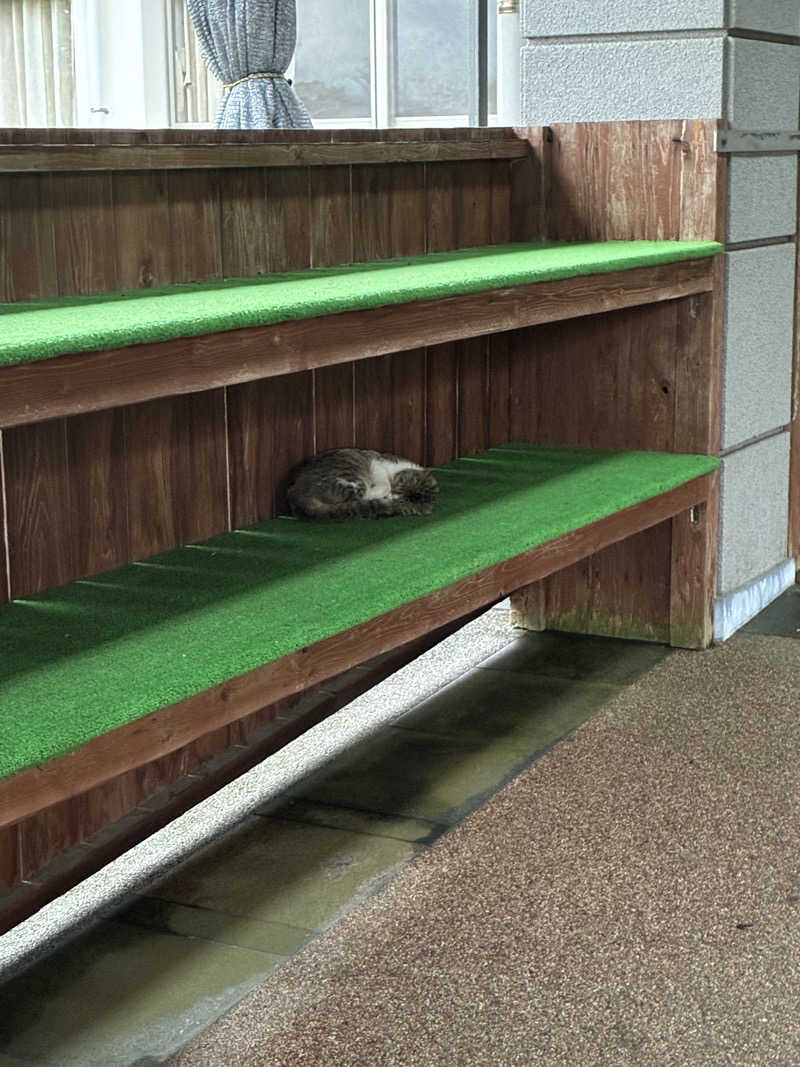 ともくんさんの高山温泉ドームのサ活写真