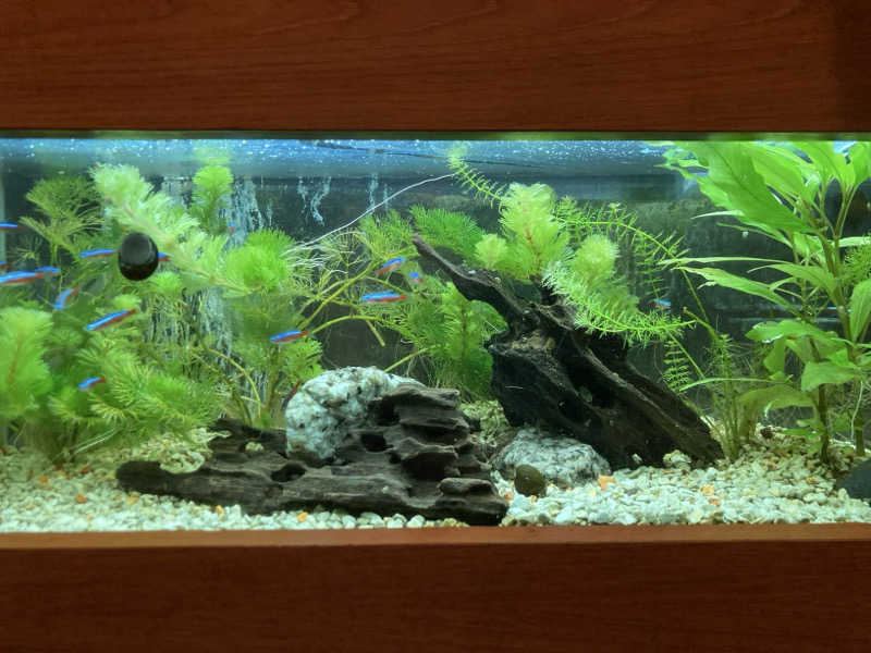 プーマ009さんの神戸サウナ&スパのサ活写真