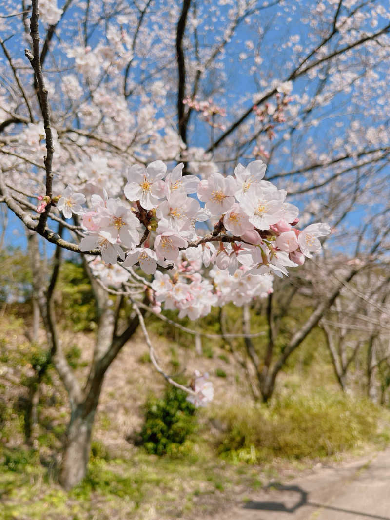 ゆーすけさんの志乎･桜の里温泉 古墳の湯のサ活写真