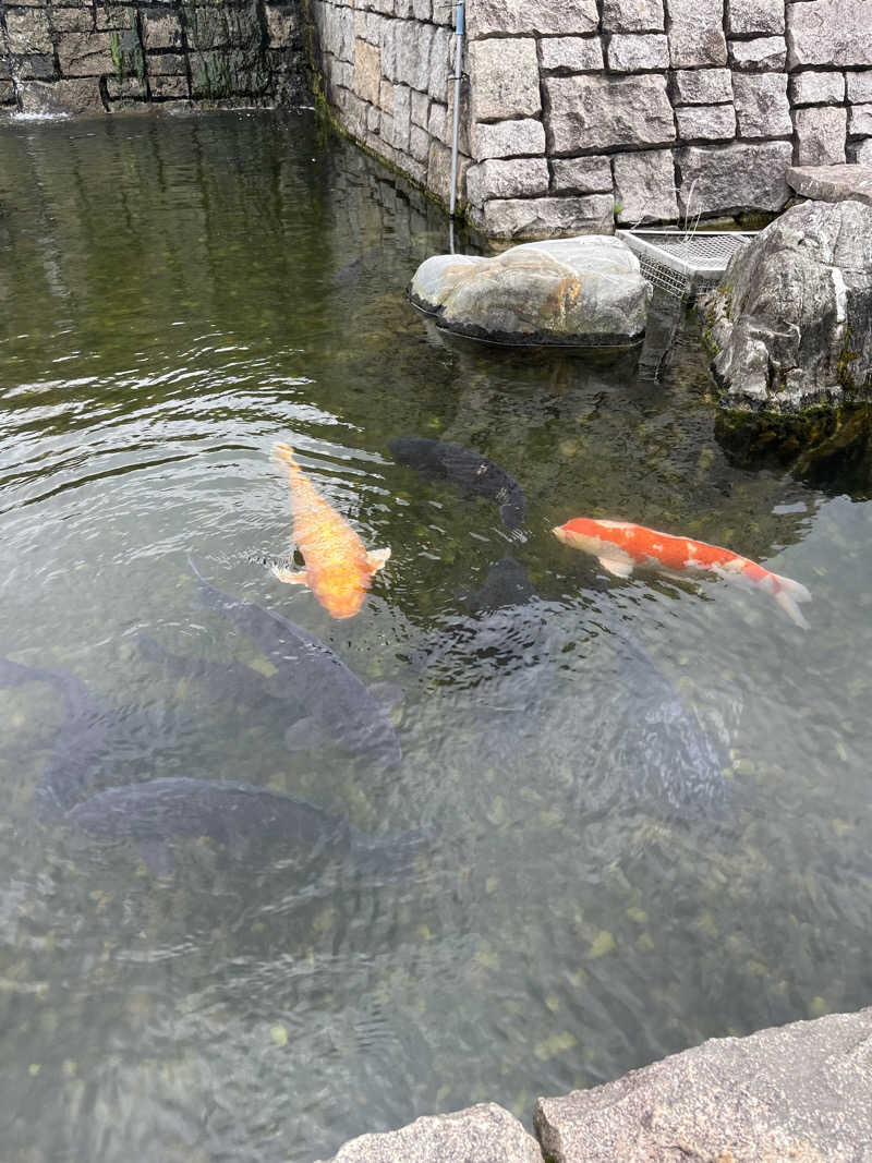 ゆーすけさんの川北町役場 ふれあい健康センターのサ活写真