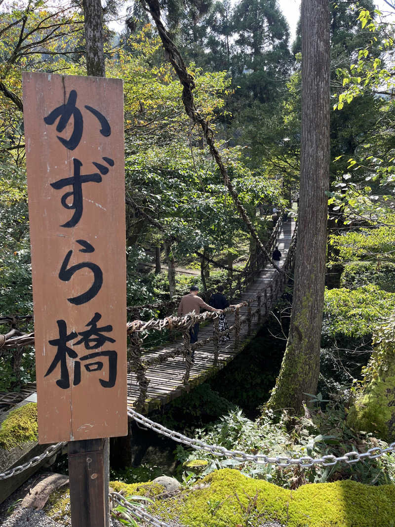 ゆーすけさんのあわら温泉 グランディア芳泉のサ活写真