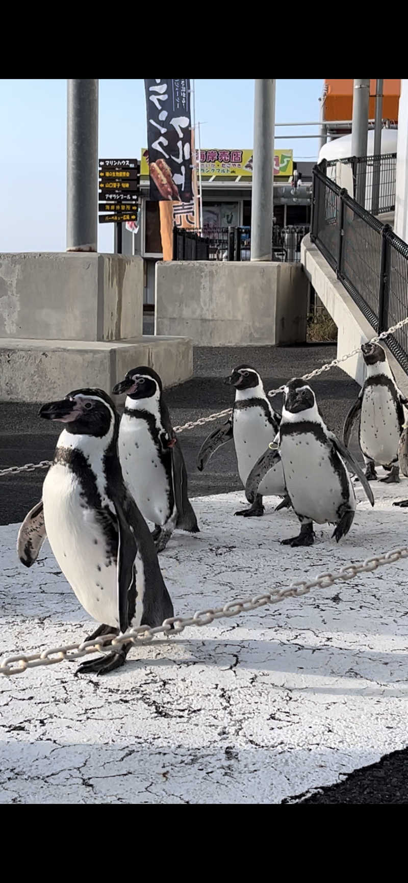 ゆーすけさんのあわら温泉 グランディア芳泉のサ活写真